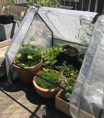 Customer review image