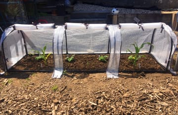 Customer review image