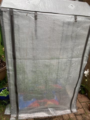 Customer review image