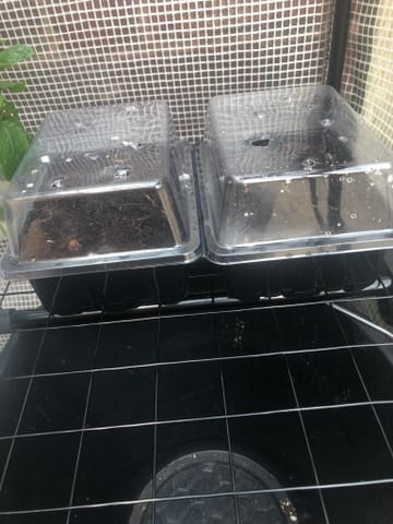 Customer review image