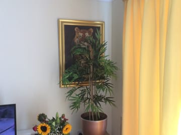 Customer review image