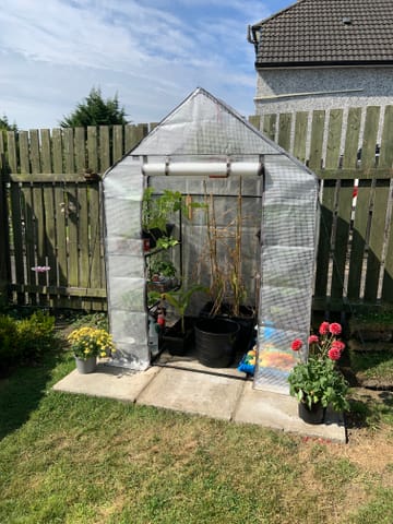 Customer review image