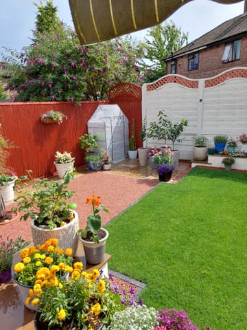 Customer review image