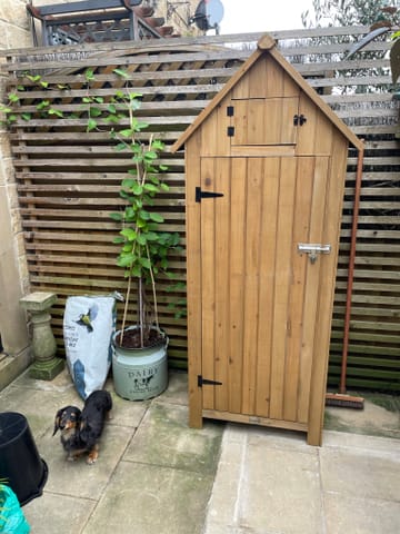 Customer review image