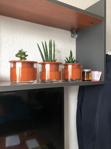 Photo de julien leconte