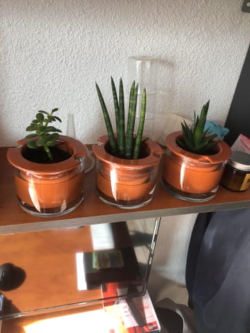 Photo de julien leconte