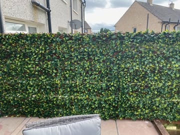 Customer review image