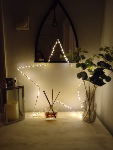 Customer review image