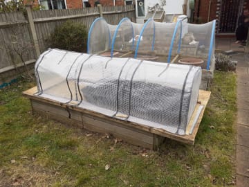 Customer review image