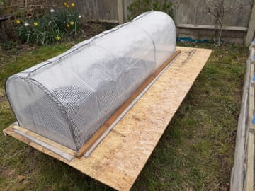 Customer review image