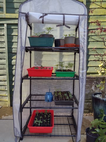 Customer review image