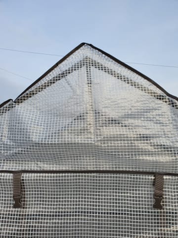 Customer review image