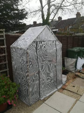 Customer review image