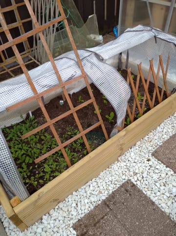 Customer review image