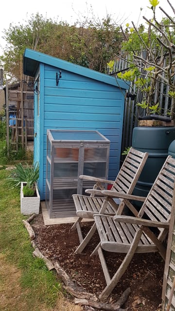 Customer review image