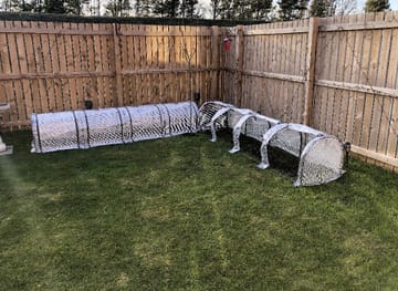 Customer review image