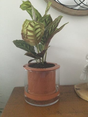 Photo de francine  danesi