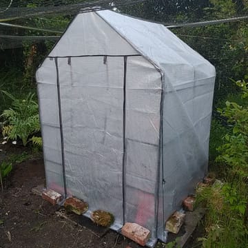 Customer review image