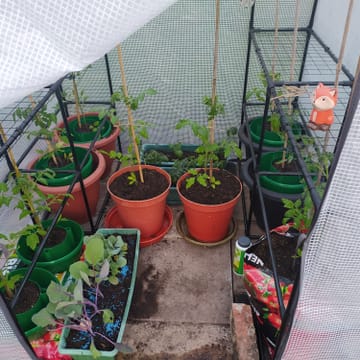 Customer review image