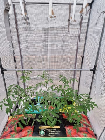 Customer review image