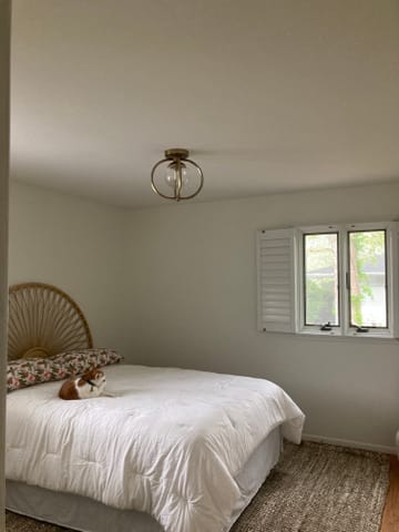 Captured Sphere Ceiling Light - Shades 