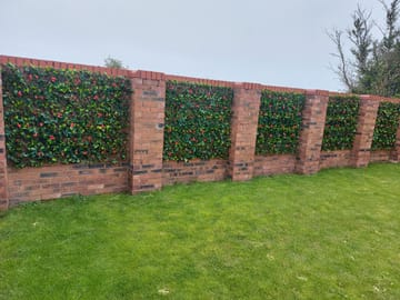 Customer review image