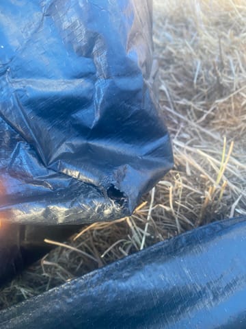 Customer review image