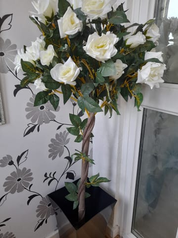 Customer review image