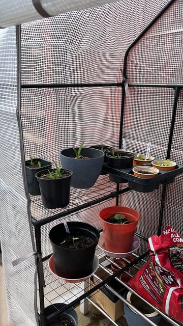 Customer review image