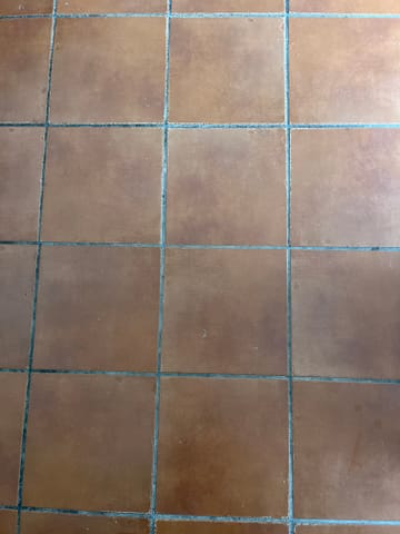 Customer review image