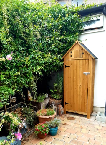 Customer review image