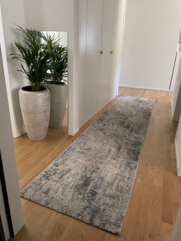 Smart Ritz Rugs Rugvista core - Ritz - Light Grey 200 x 290 cm Rug - Rugvista