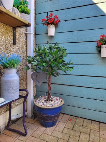 Customer review image