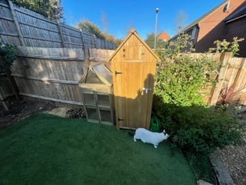 Customer review image