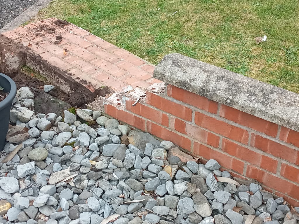 Customer review image