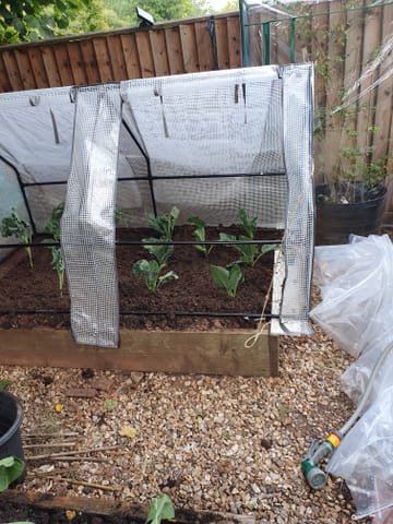 Customer review image