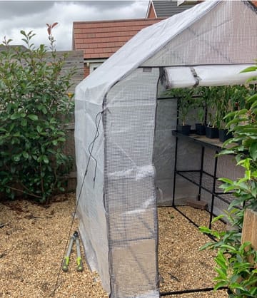 Customer review image