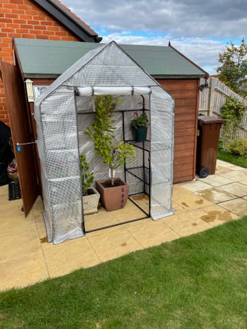 Customer review image