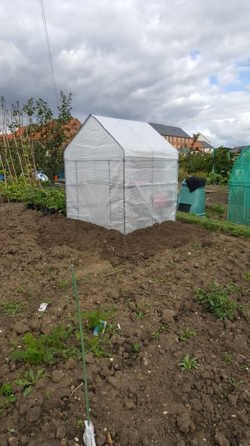 Customer review image