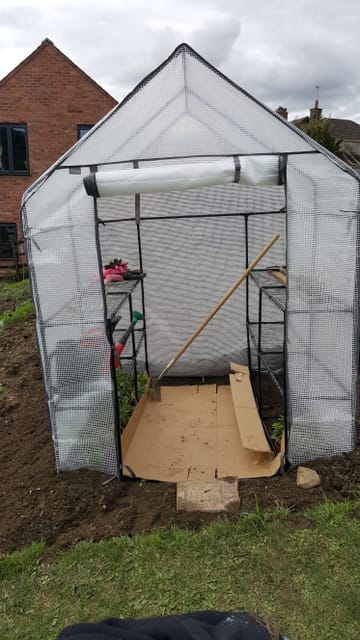 Customer review image