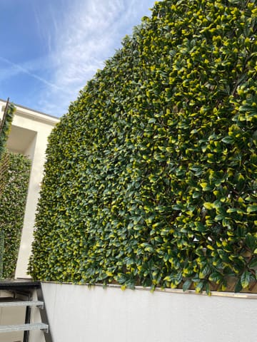 Customer review image