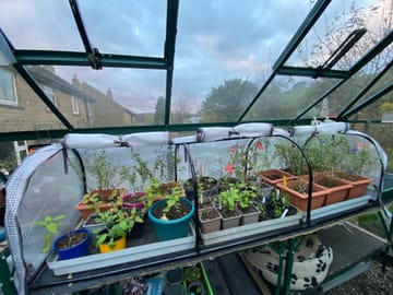 Customer review image