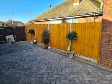 Customer review image