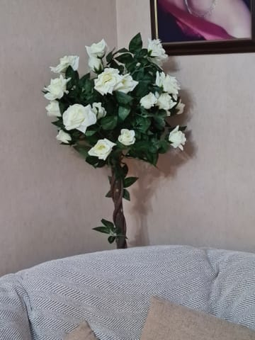 Customer review image
