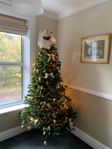 Customer review image