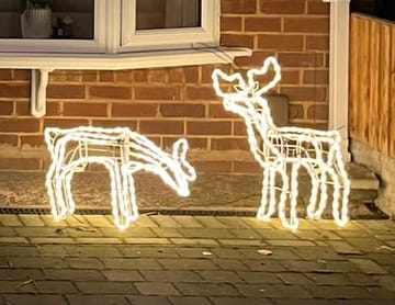 Customer review image