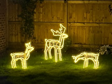 Customer review image