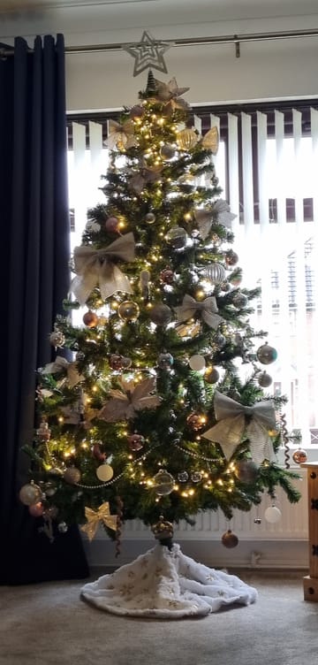 Customer review image