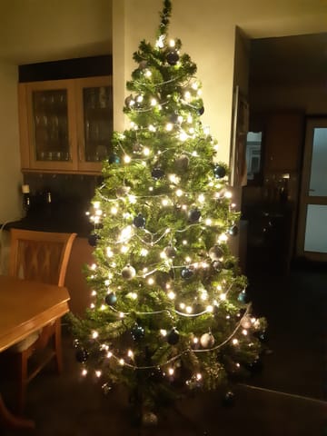 Customer review image