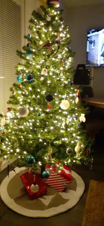 Customer review image